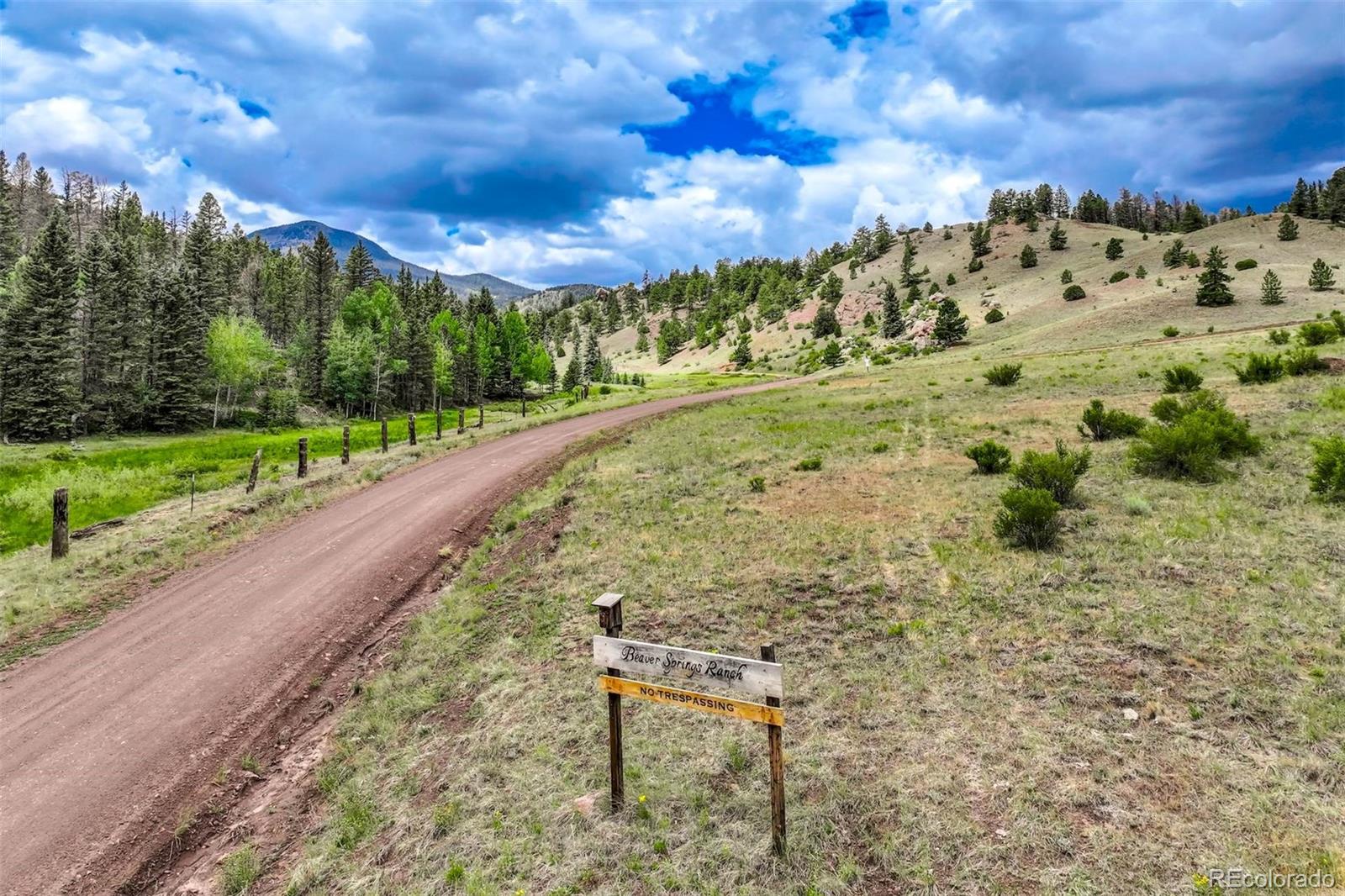 75 Deer Rn, Guffey, CO 80820
