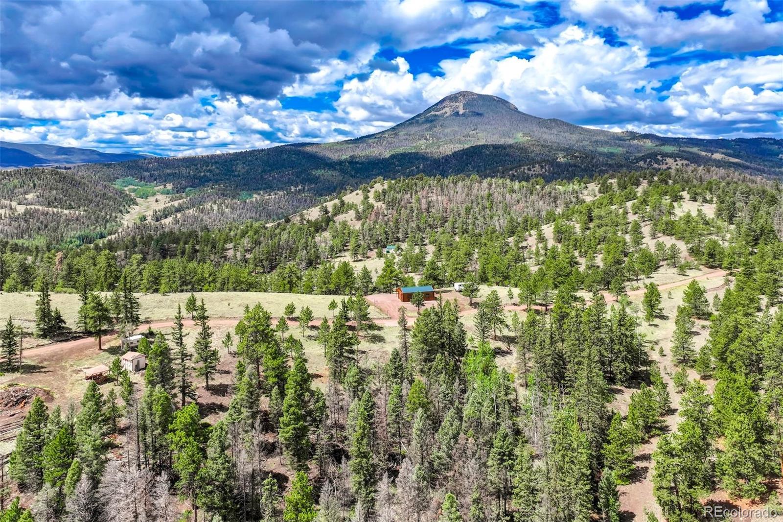 75 Deer Rn, Guffey, CO 80820