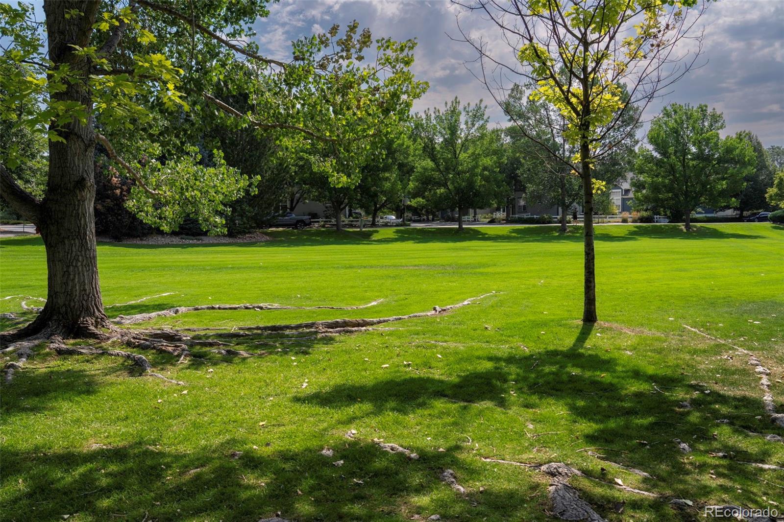 811 Snowberry St, Longmont, CO 80503