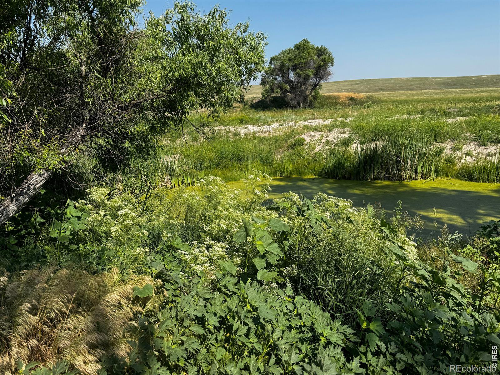 29643 County Road 17/21, Elizabeth, CO 80107