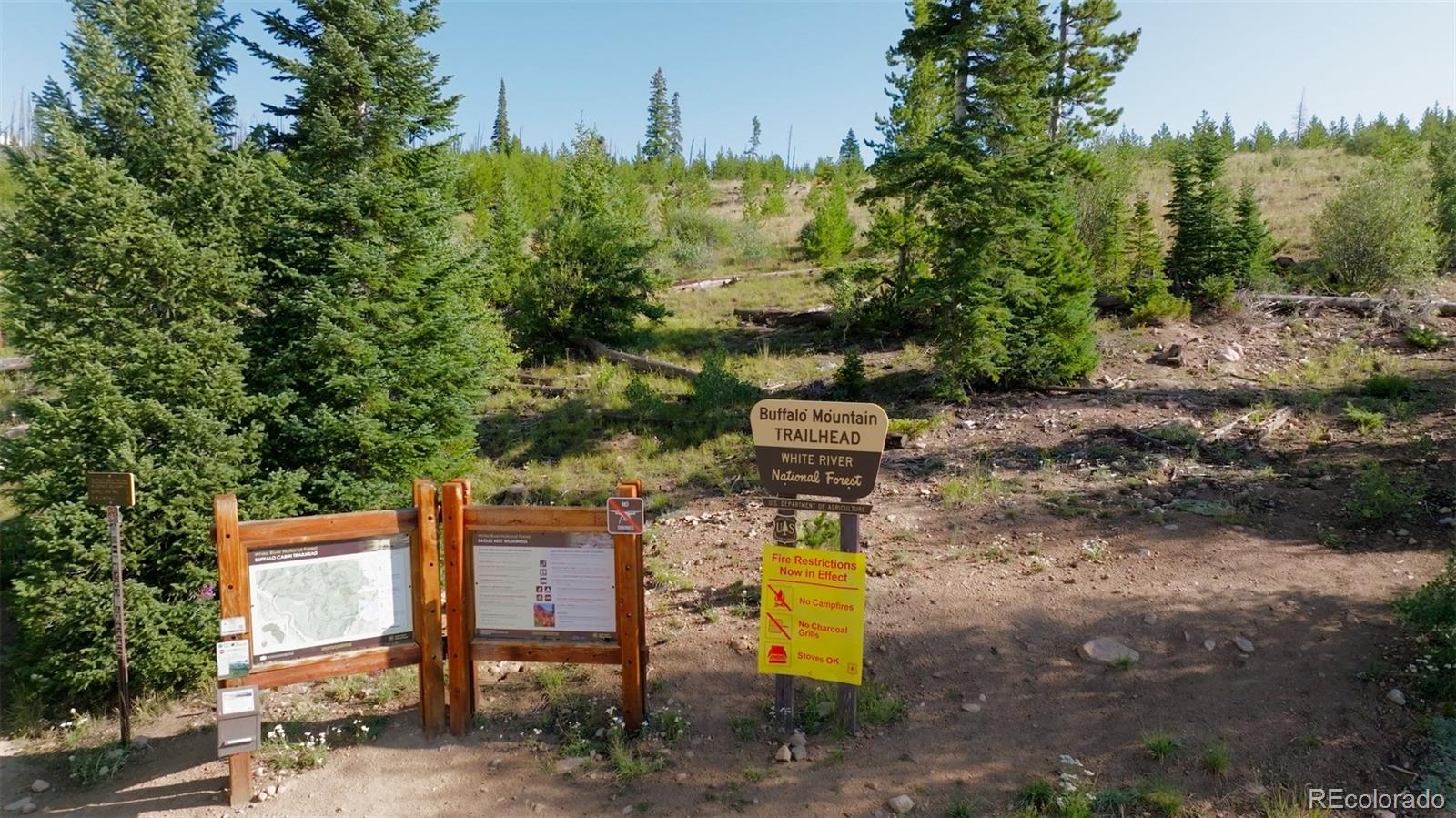 91300 Ryan Gulch Rd #91301, Silverthorne, CO 80498