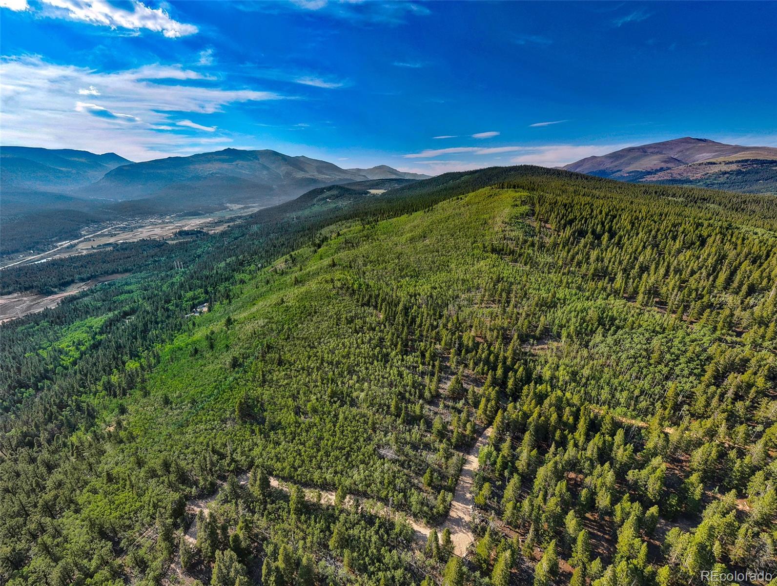 497 Ten High Ln, Fairplay, CO 80440