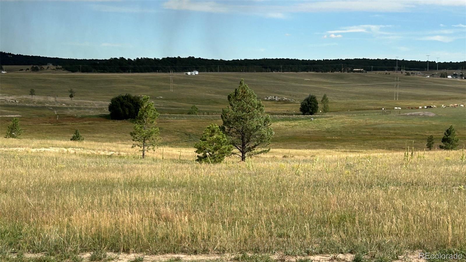 18867 Cherry Springs Ranch Dr Lot 5, Monument, CO 80132