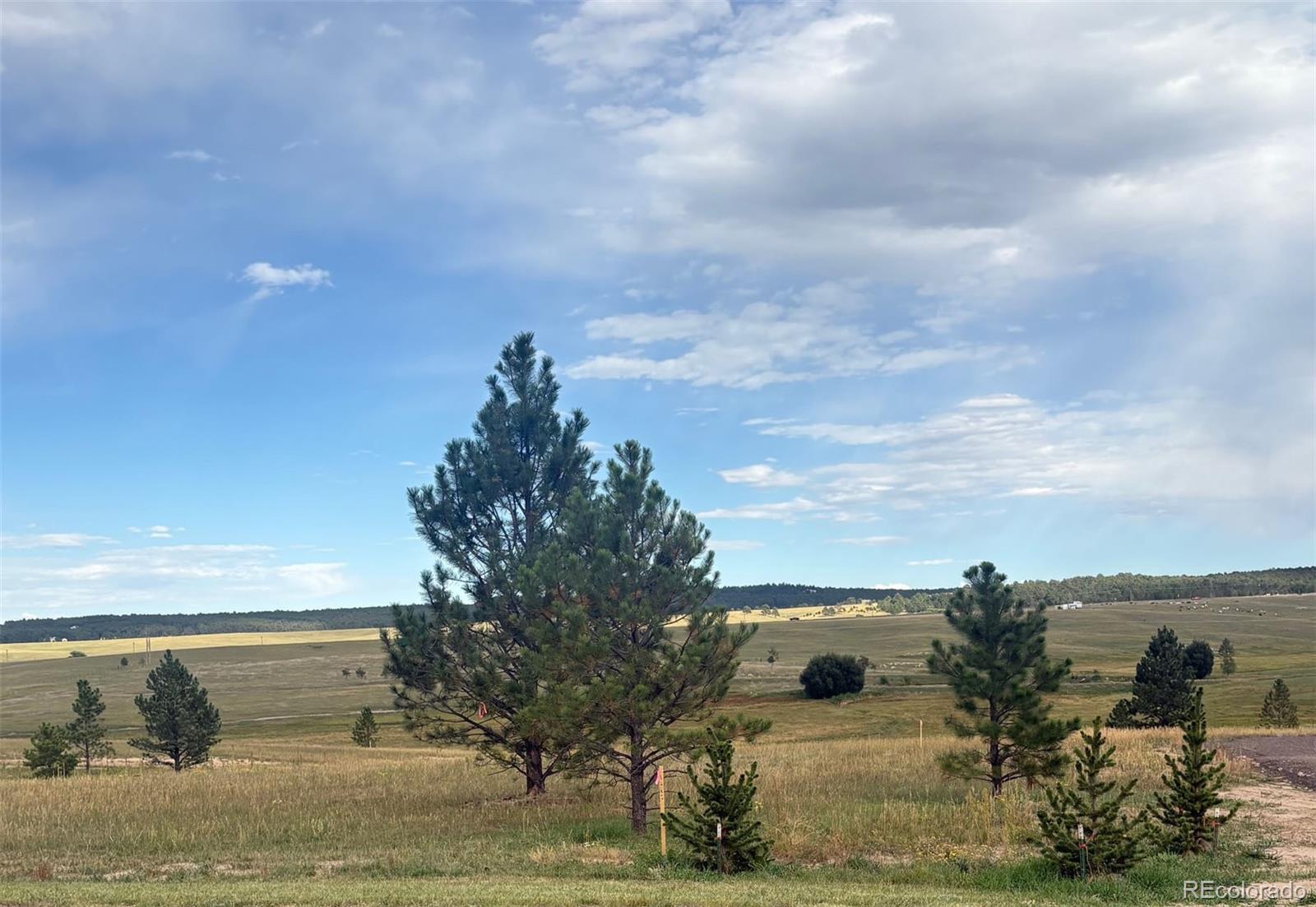 18819 Cherry Springs Ranch Dr Lot 6, Monument, CO 80132