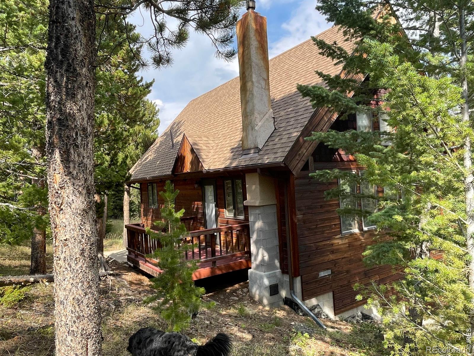 785 S Skinner Rd, Allenspark, CO 80510