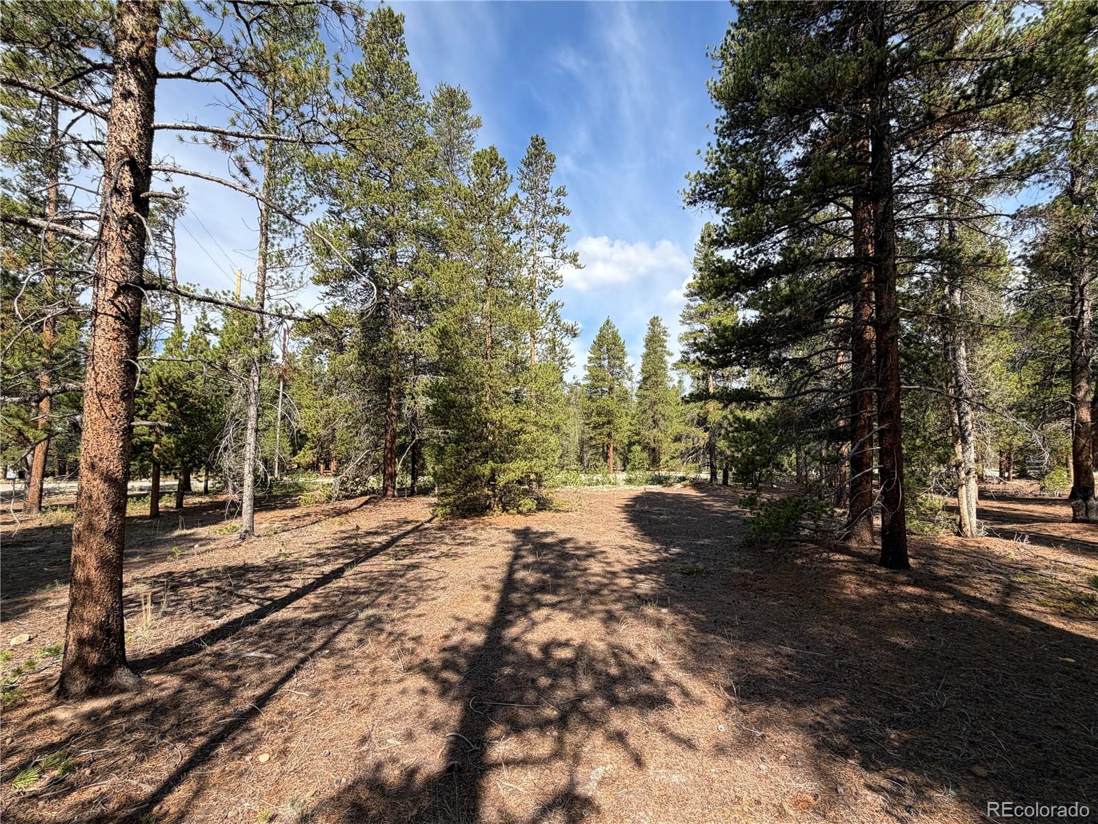 1796 Autumn Dr, Leadville, CO 80461