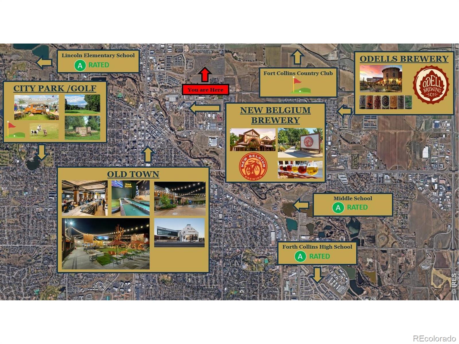 990 Nettle Ln, Fort Collins, CO 80524