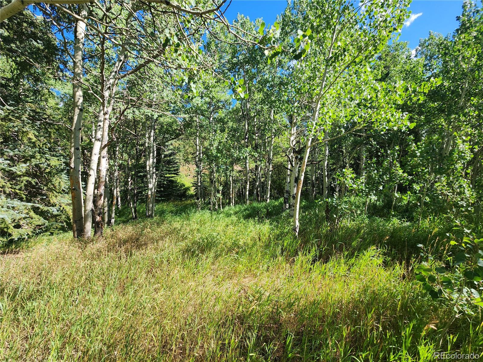 531 Caribou Rd, Nederland, CO 80466