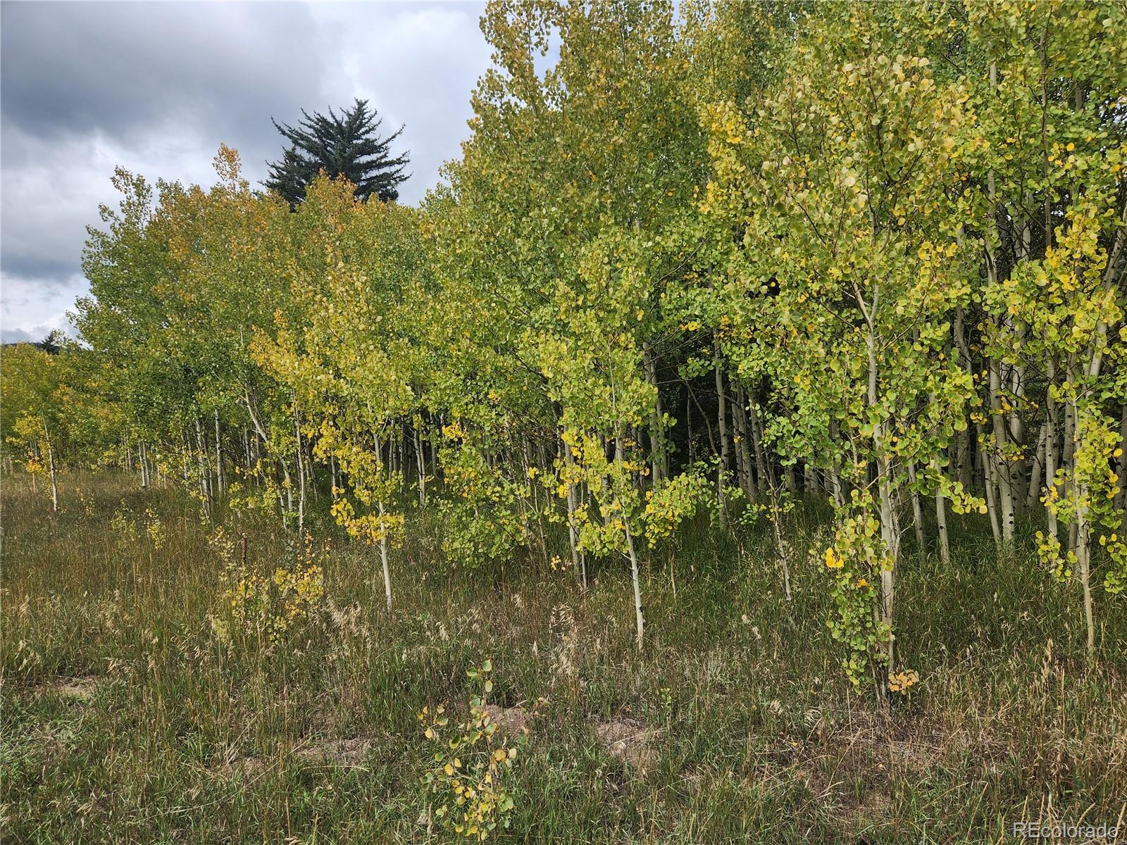 531 Caribou Rd, Nederland, CO 80466