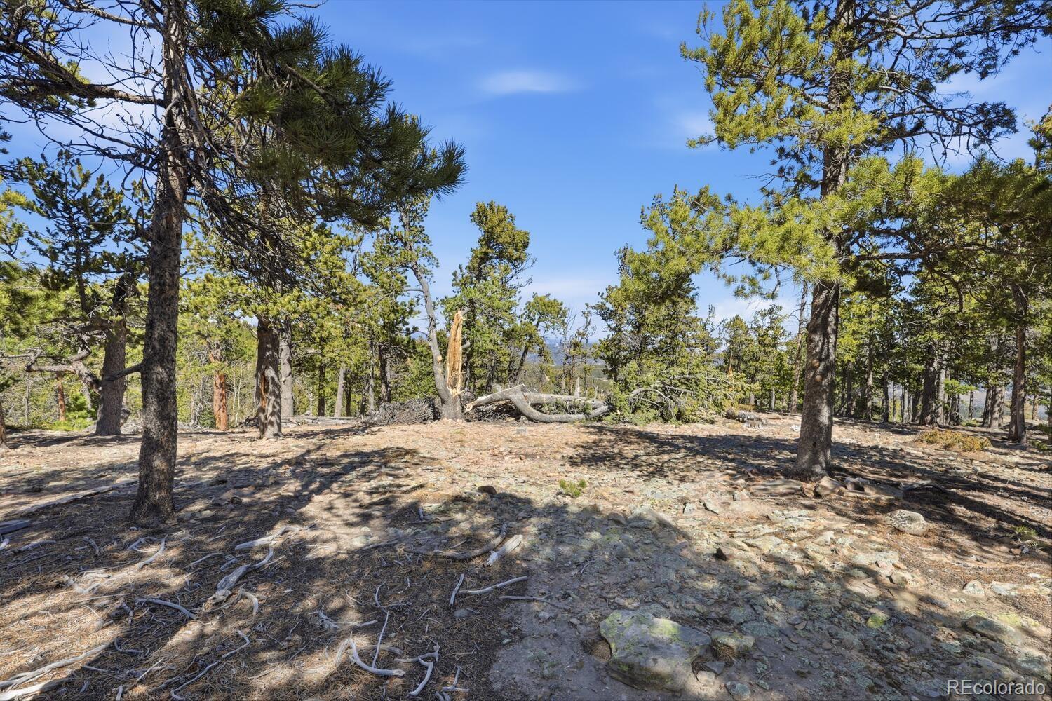 33149 Janelle Cir, Golden, CO 80403
