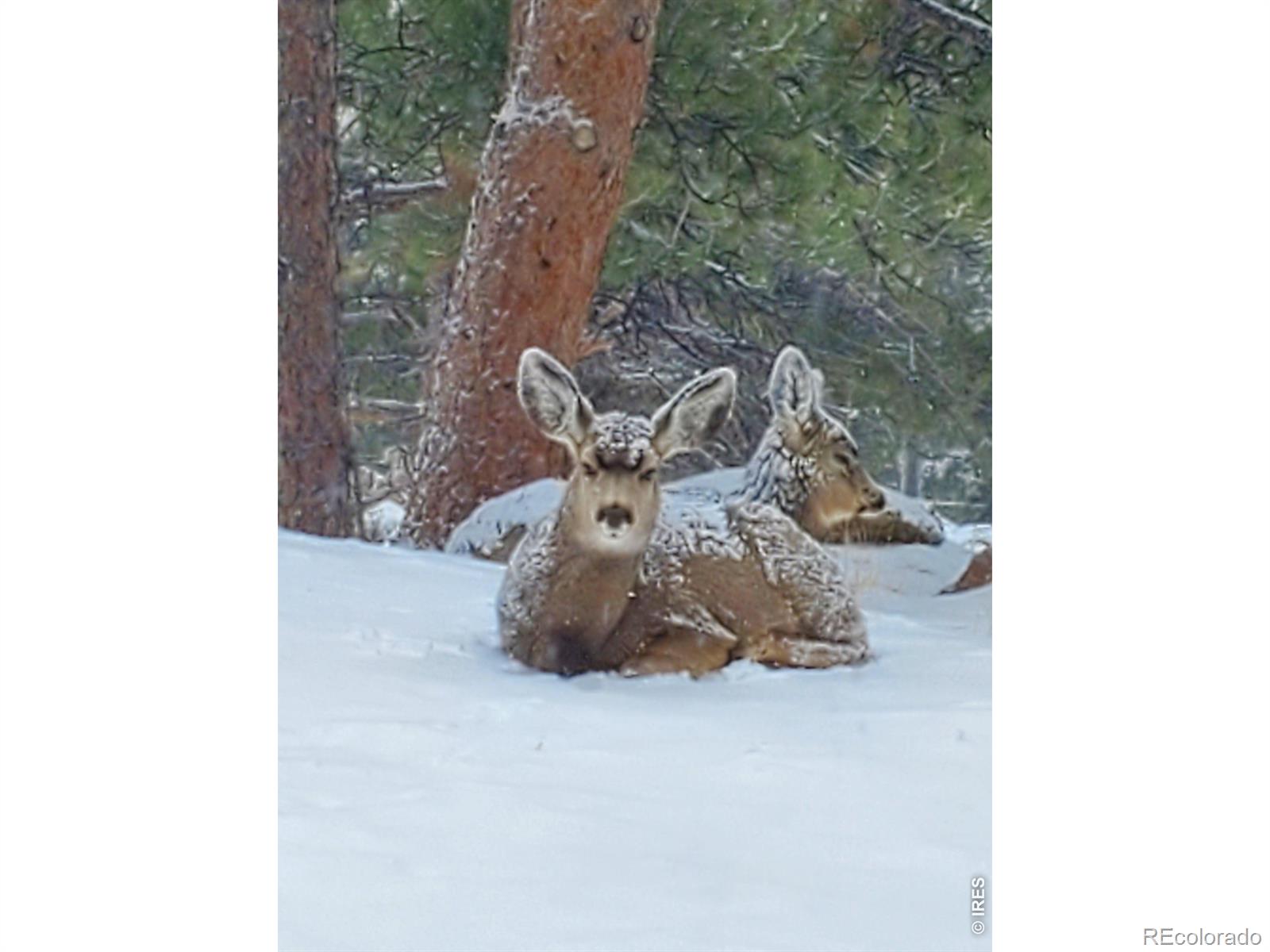 2720 Sunset Ln, Estes Park, CO 80517