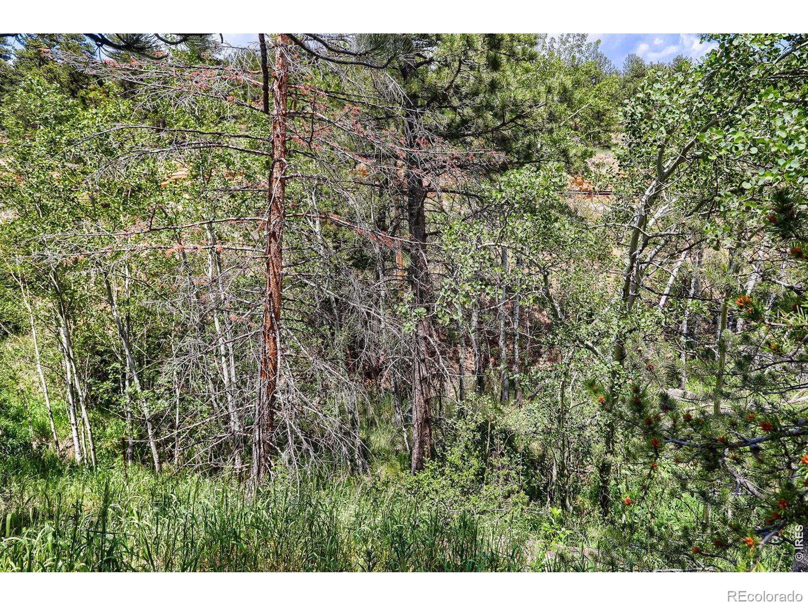 449 Highway 7 Business, Allenspark, CO 80510