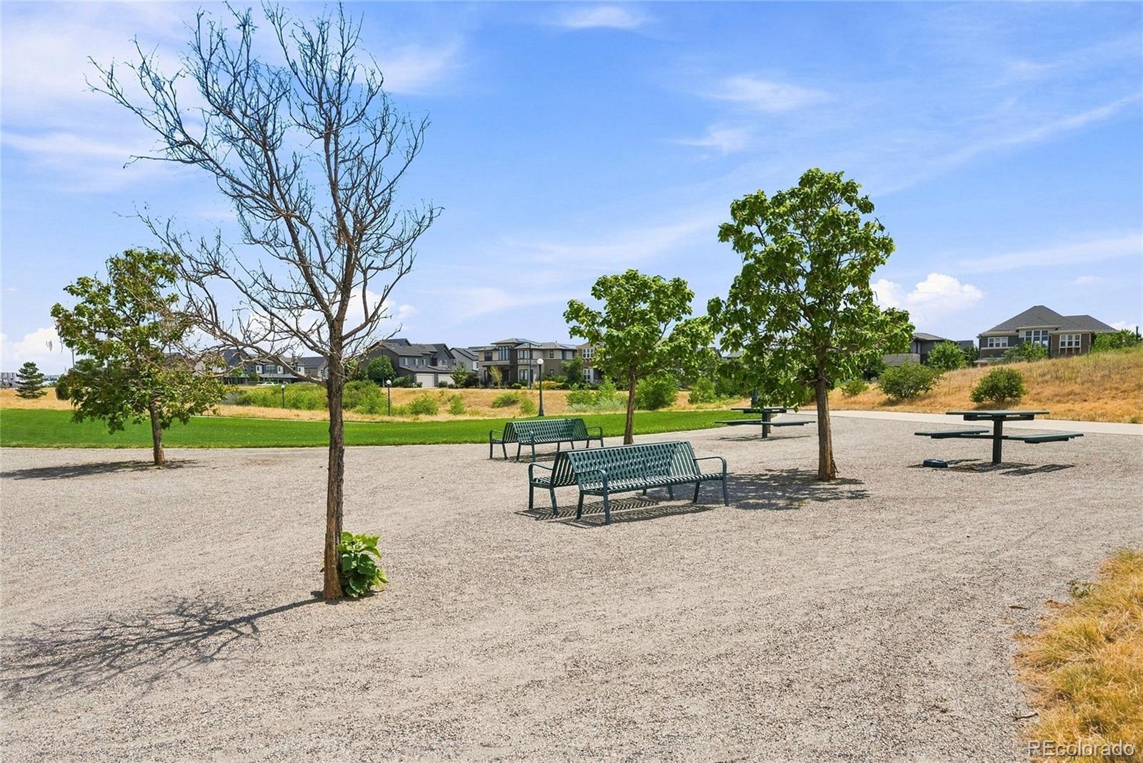 8790 E 54th Pl, Denver, CO 80238