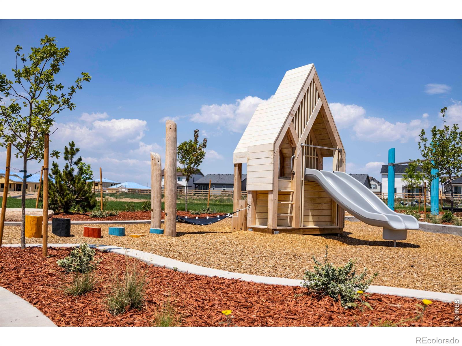 928 Trumpet Ln, Windsor, CO 80550