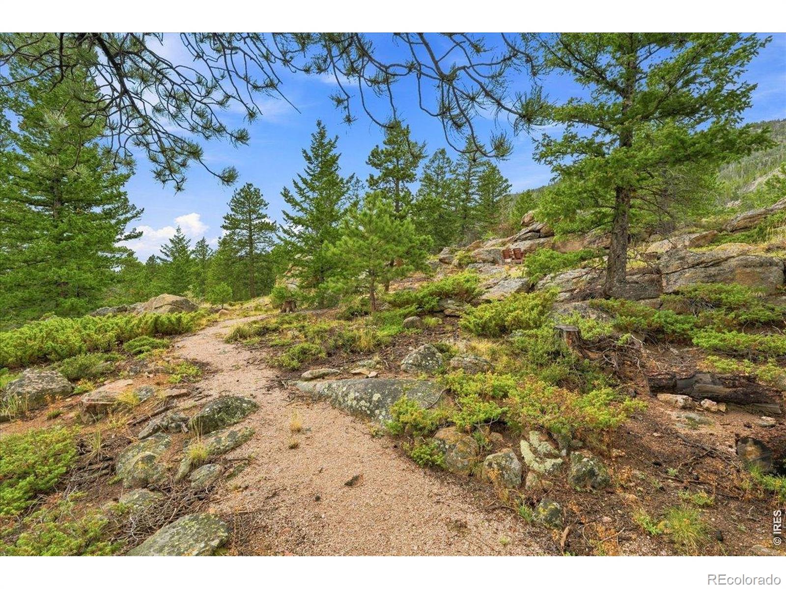 78 Wenro Ct, Red Feather Lakes, CO 80545