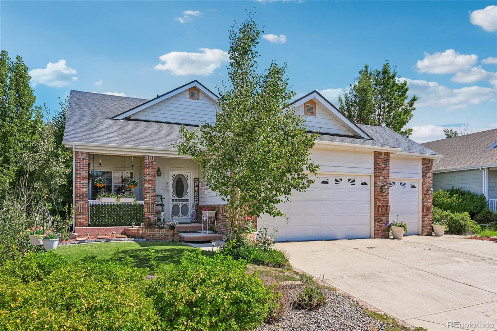445 Mango Dr, Castle Rock, CO 80104