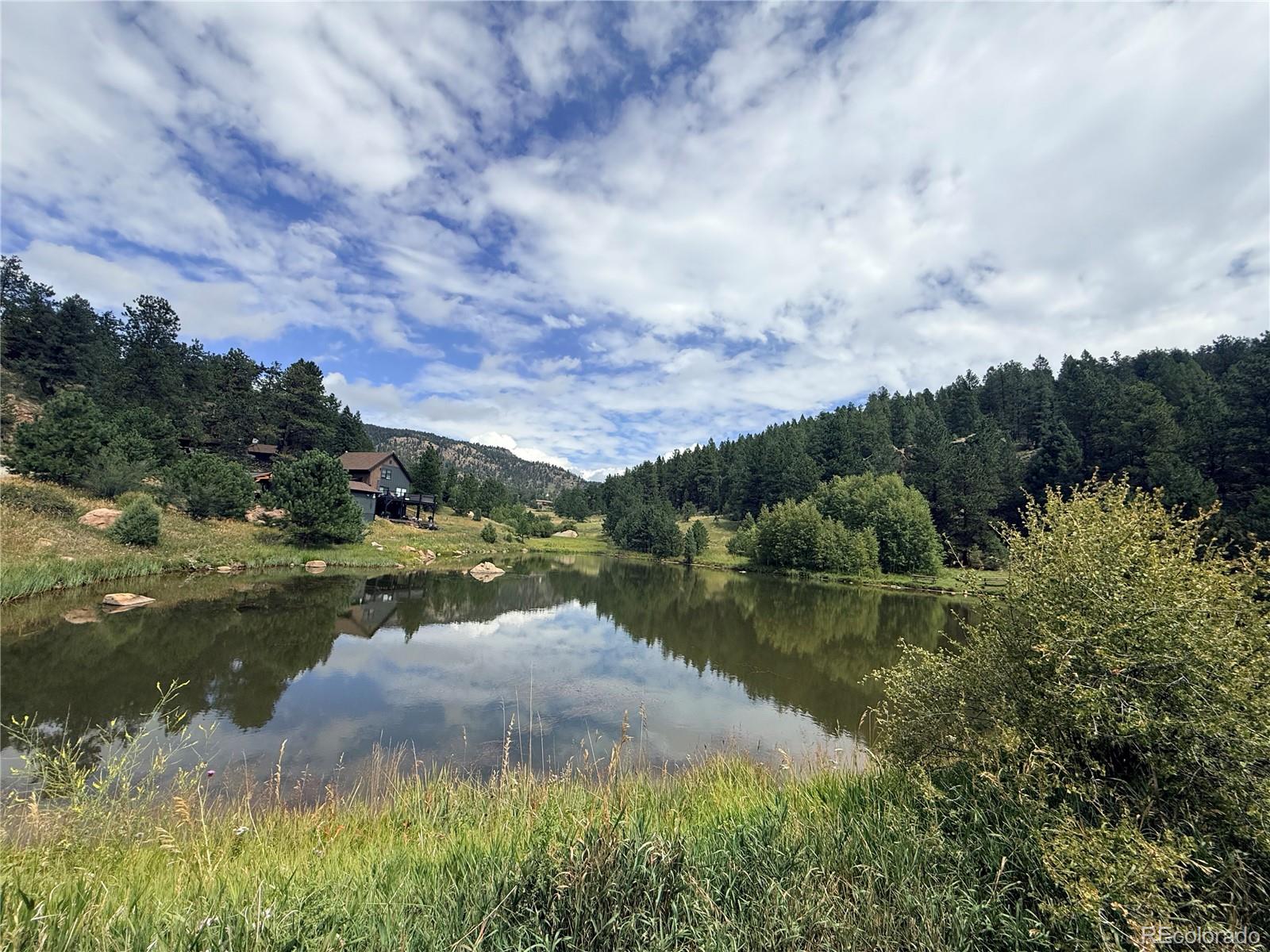 173 Wisp Creek Dr, Bailey, CO 80421