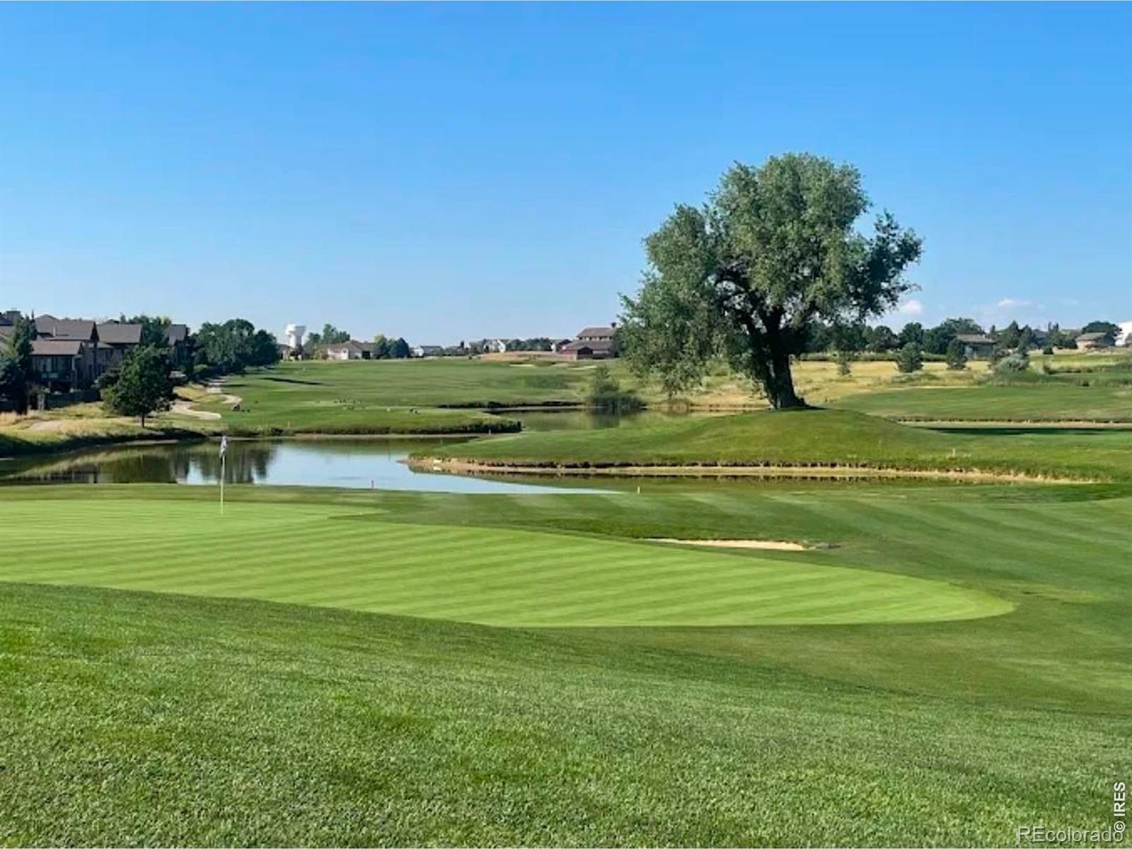 8106 Northstar Dr, Windsor, CO 80528