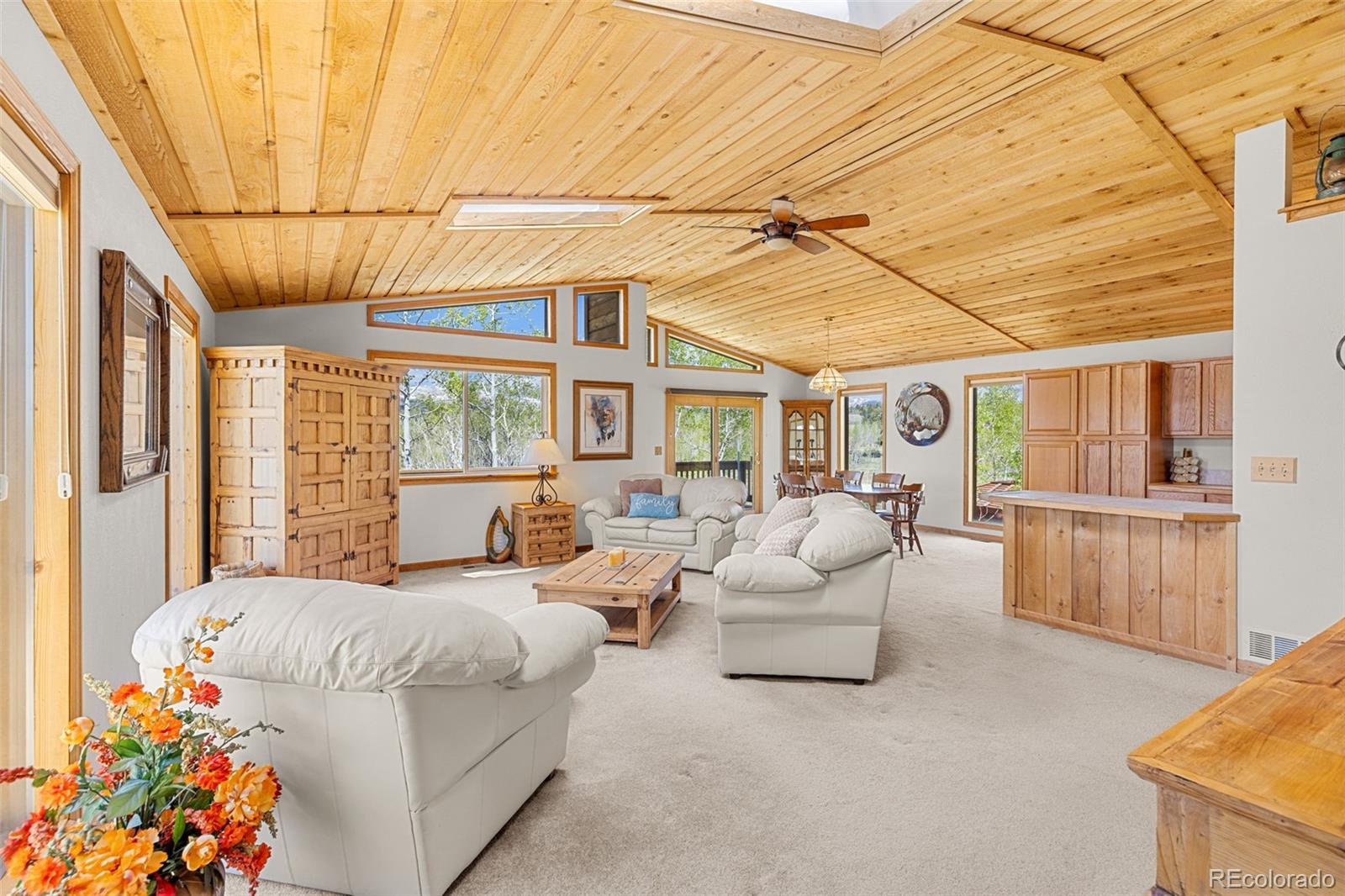 408 Foxtail Ln, Fairplay, CO 80440
