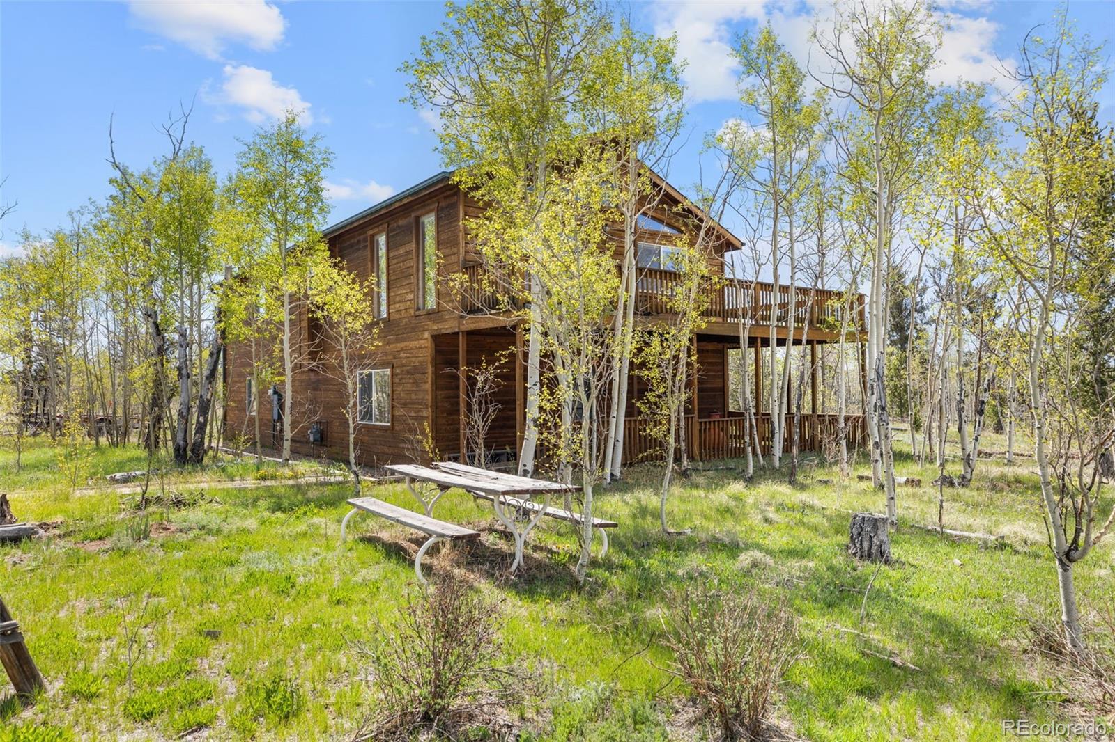 408 Foxtail Ln, Fairplay, CO 80440