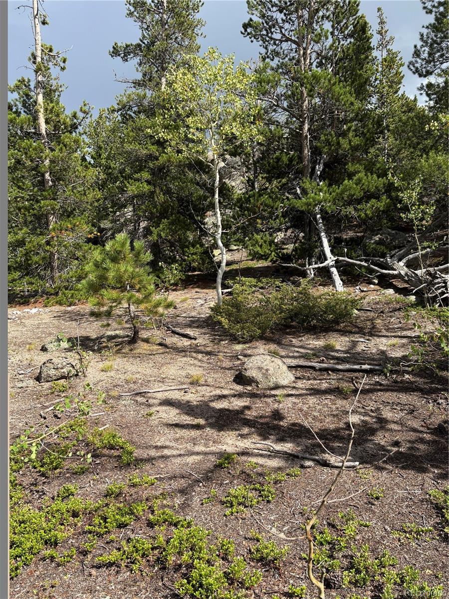 850 Lupine Pl, Black Hawk, CO 80422