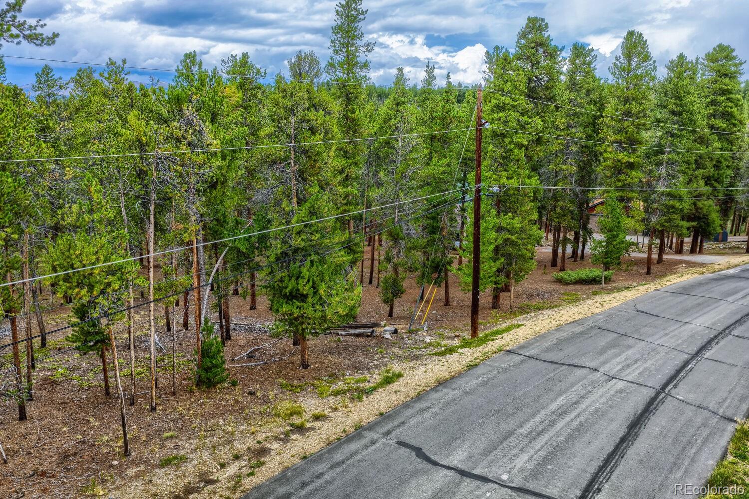 836 Baby Doe Dr, Leadville, CO 80461
