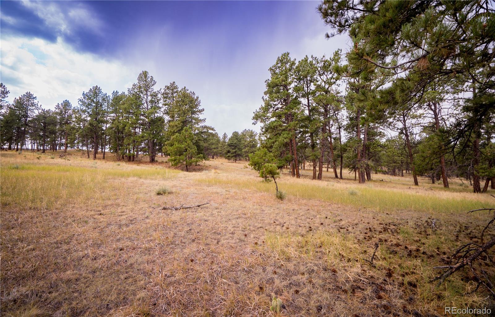 30500 Magic Dog Cir, Kiowa, CO 80117