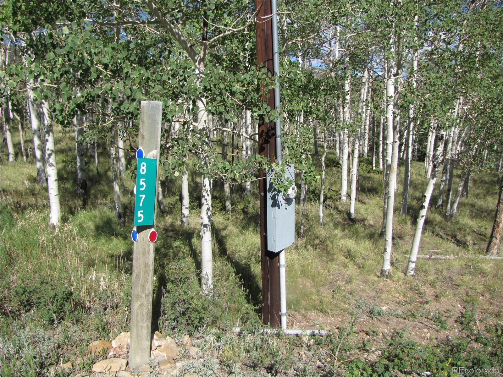 8575 Ranch Rd, Hartsel, CO 80449