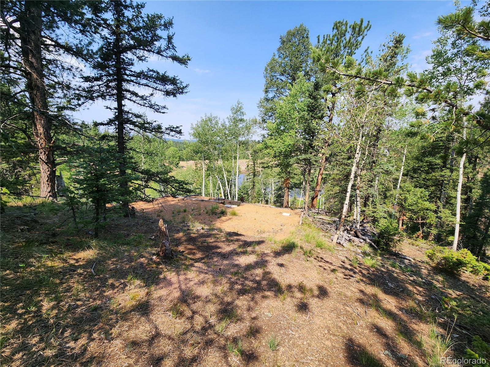 1076 Spring Valley Ln, Florissant, CO 80816