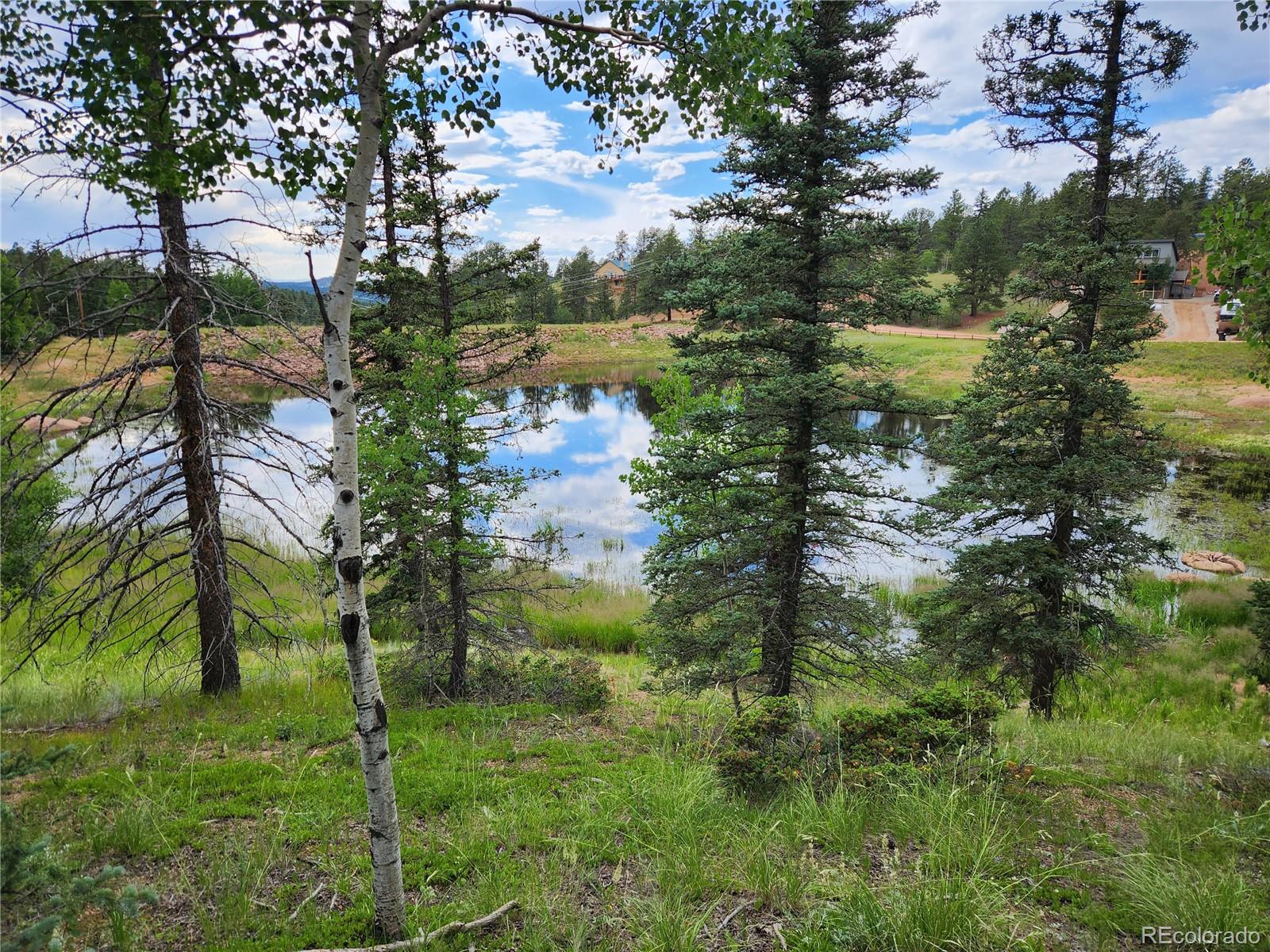 1076 Spring Valley Ln, Florissant, CO 80816