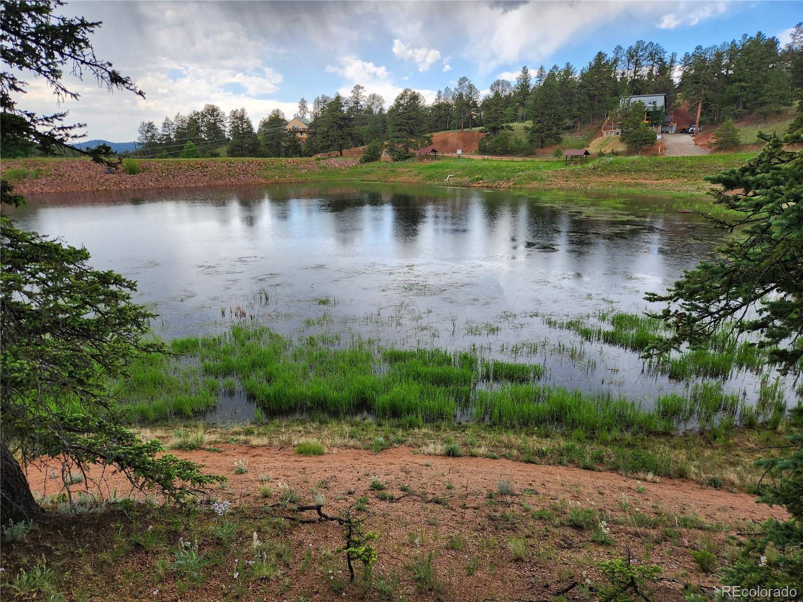 1076 Spring Valley Ln, Florissant, CO 80816