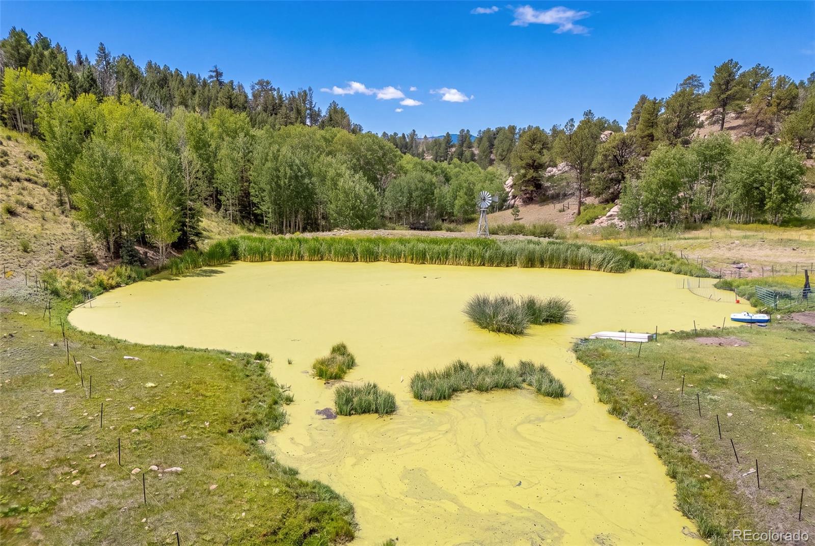 242 Poplar Ln, Guffey, CO 80820