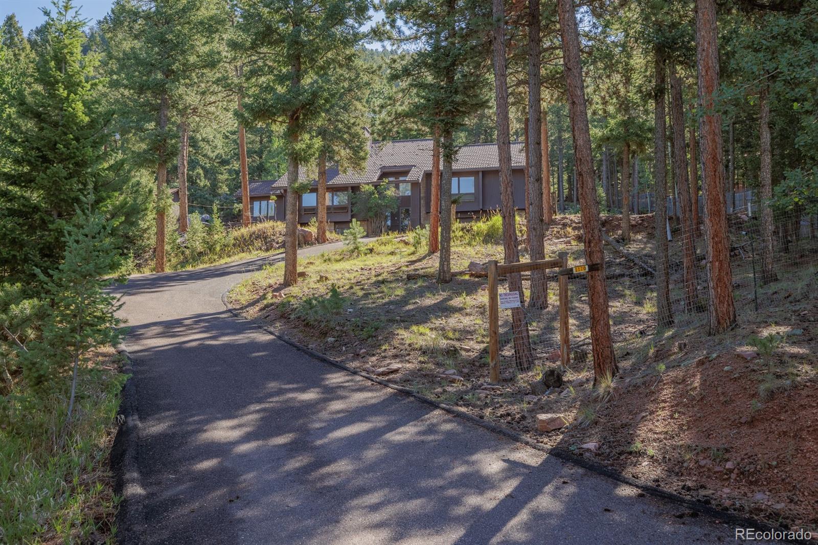 1170 Pine Ridge Rd, Woodland Park, CO 80863