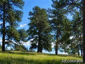 2 Forest Rim, Aurora, CO 80016