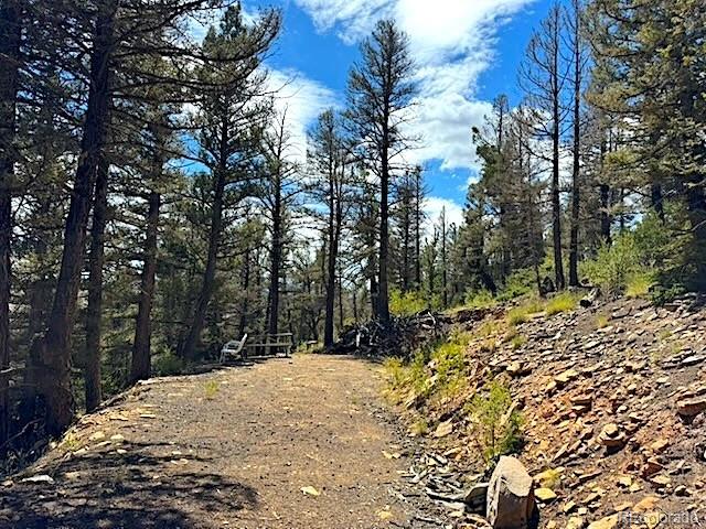 2022 Middle Fork Vi, Fairplay, CO 80440