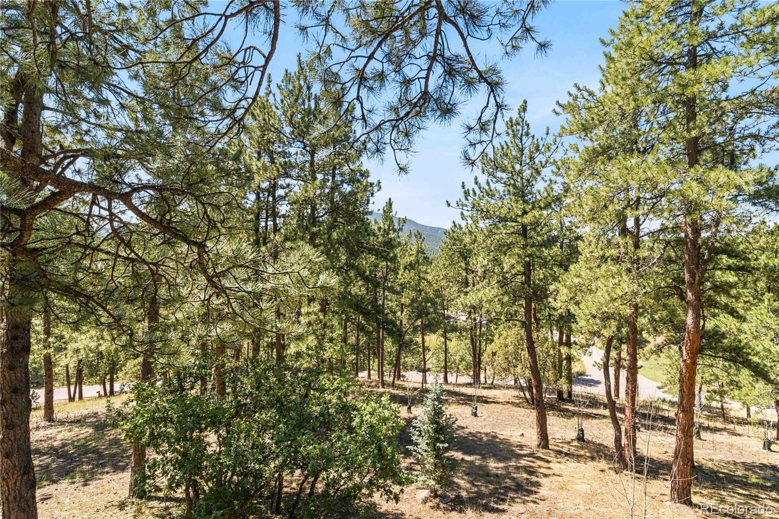 6283 Starlight Dr, Morrison, CO 80465
