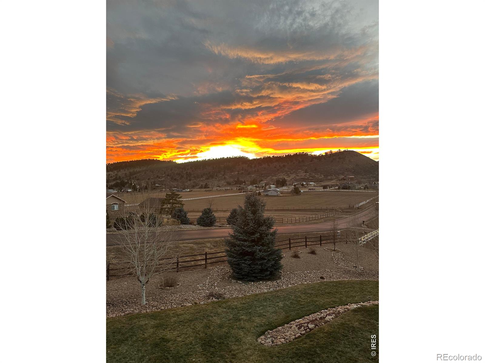 7751 Bison Bluff St, Loveland, CO 80538