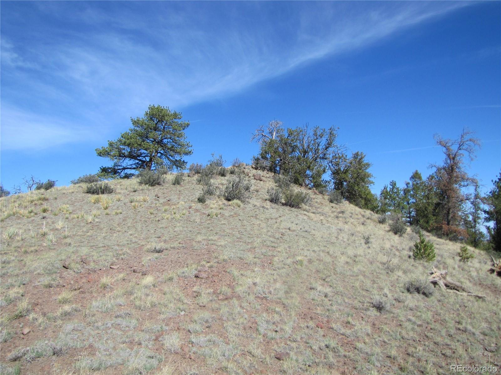 227 Keechi Rd, Hartsel, CO 80449