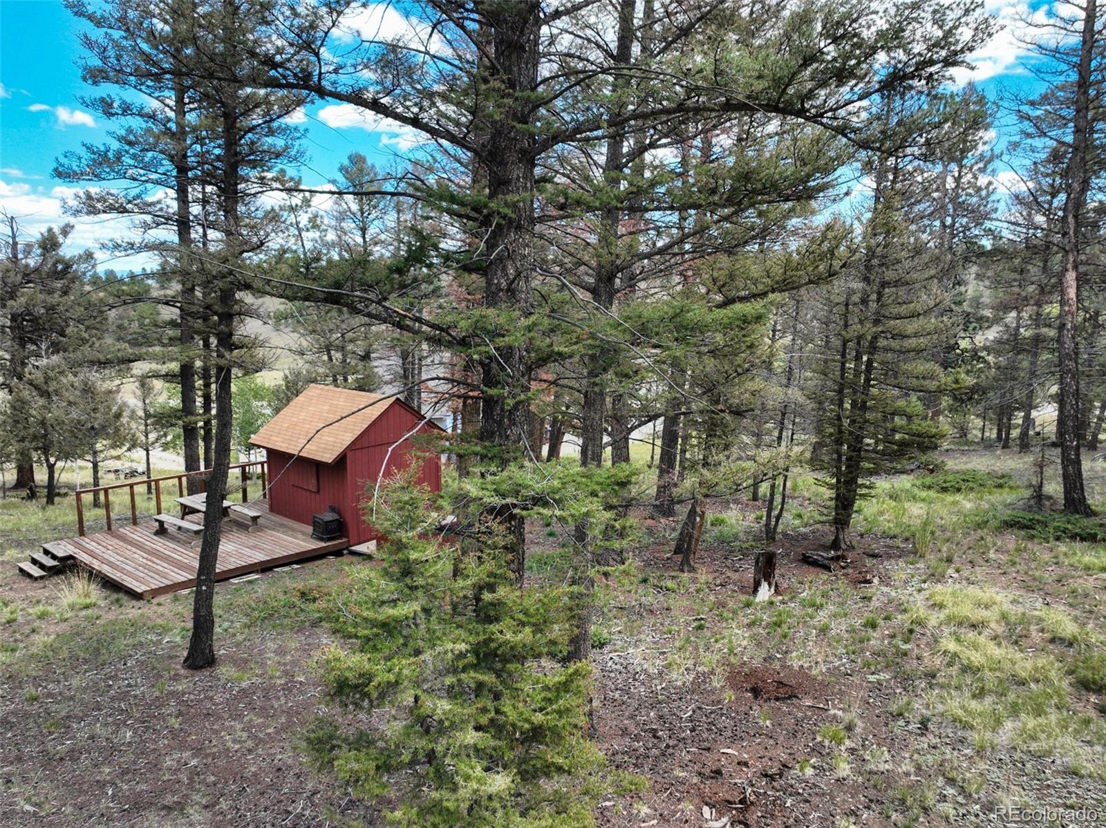 1807 Windmill Dr, Hartsel, CO 80449