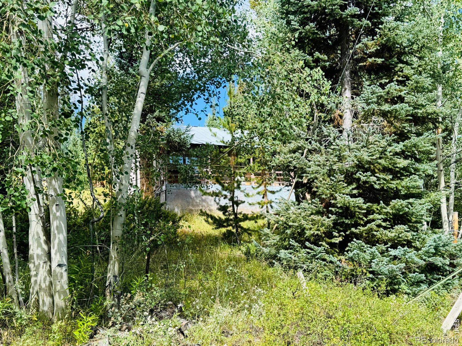 67 Alpine Ln, Walden, CO 80430