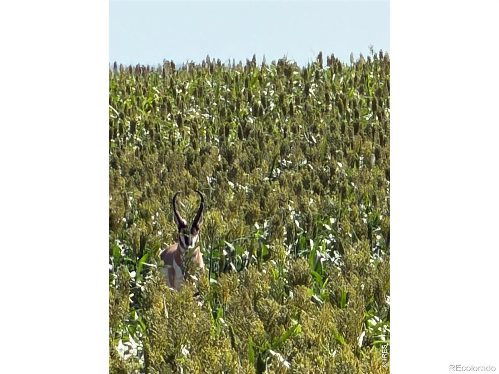 26 Gg Rd, Snyder, CO 80750