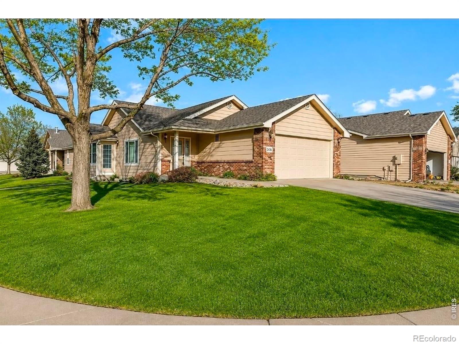 2615 Anemonie Dr, Loveland, CO 80537