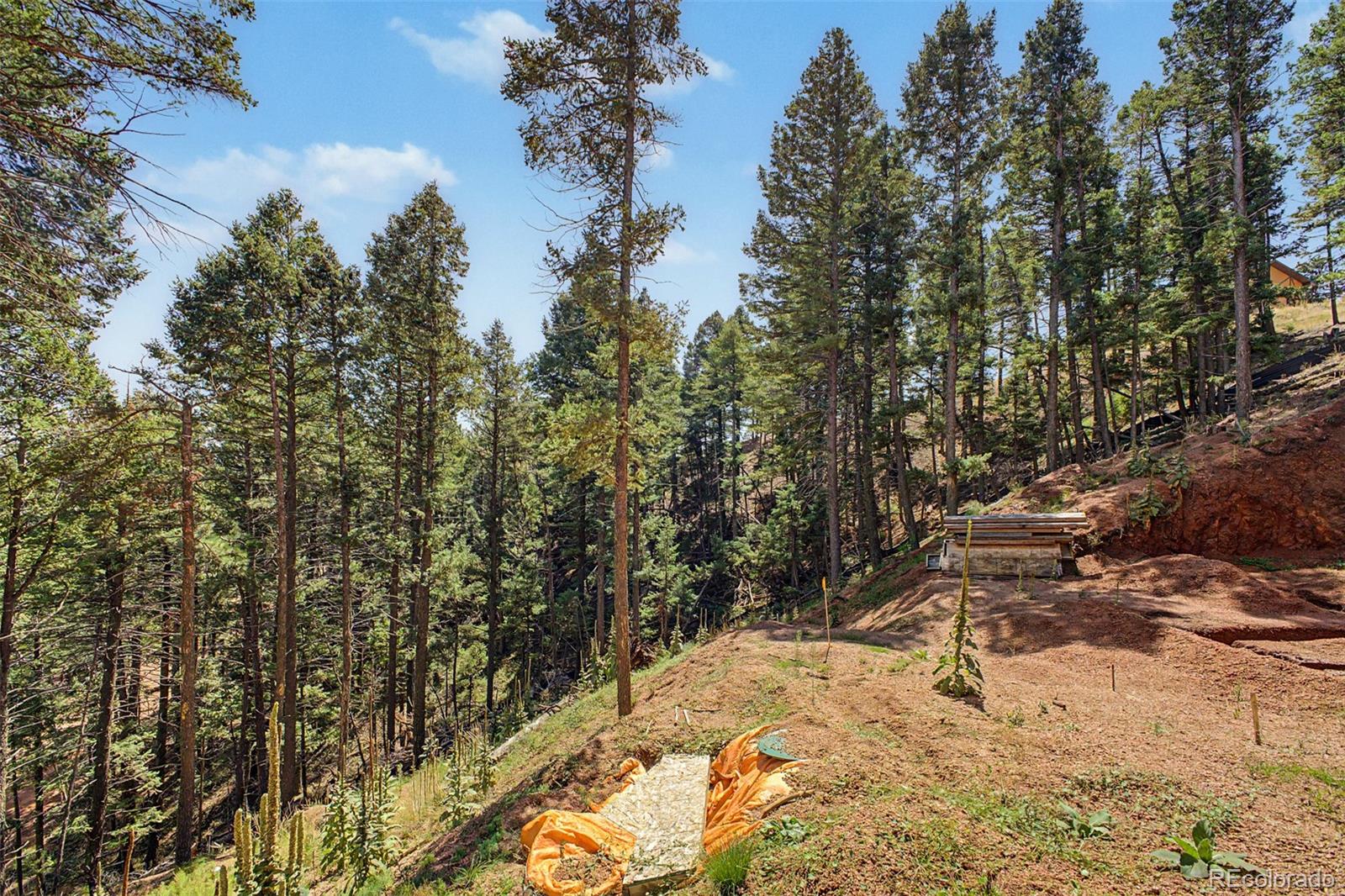 2199 Badger Dr, Larkspur, CO 80118
