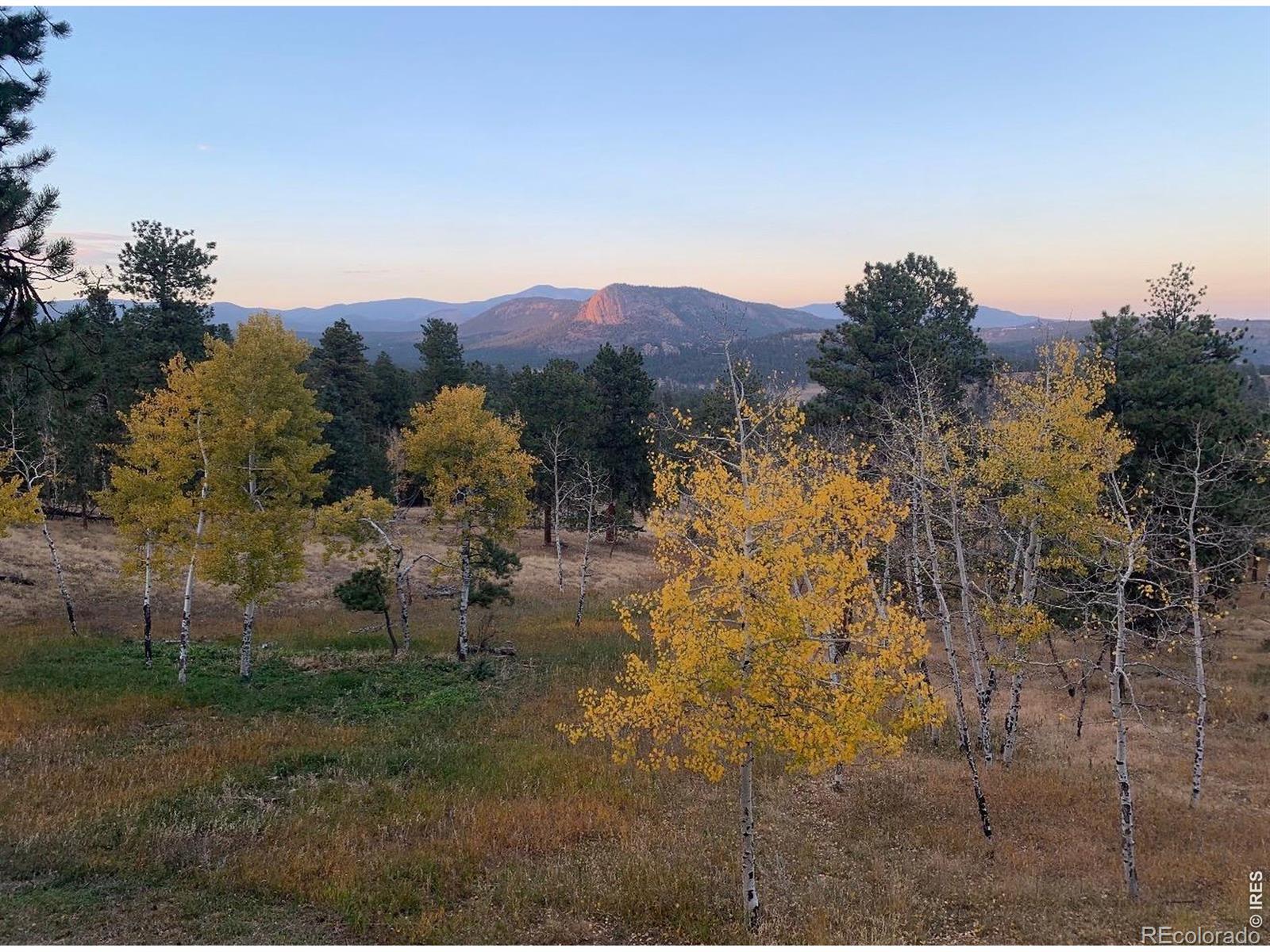 278 Overlook Dr, Bailey, CO 80421