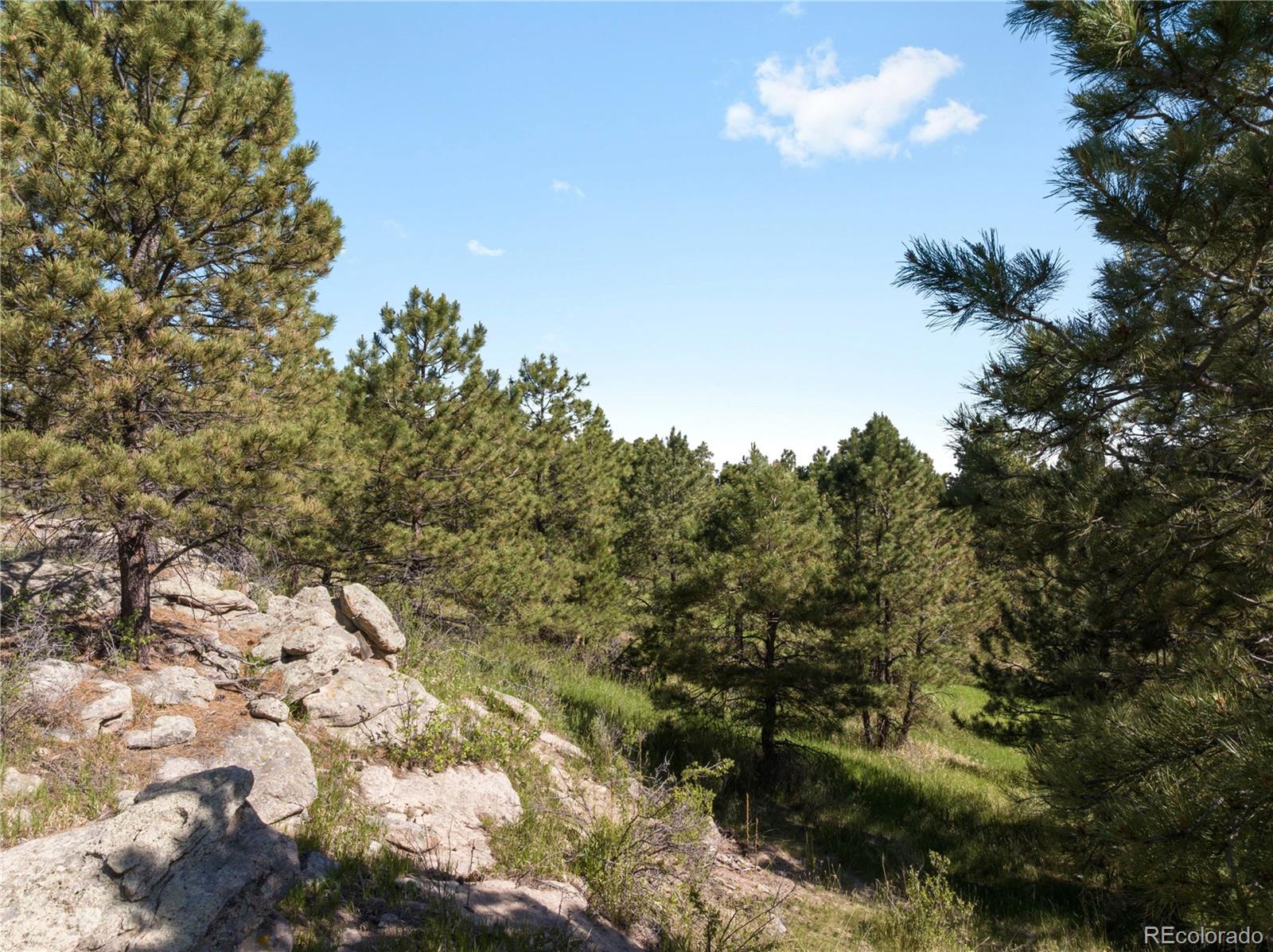 18673 N Elbert Rd, Elbert, CO 80106