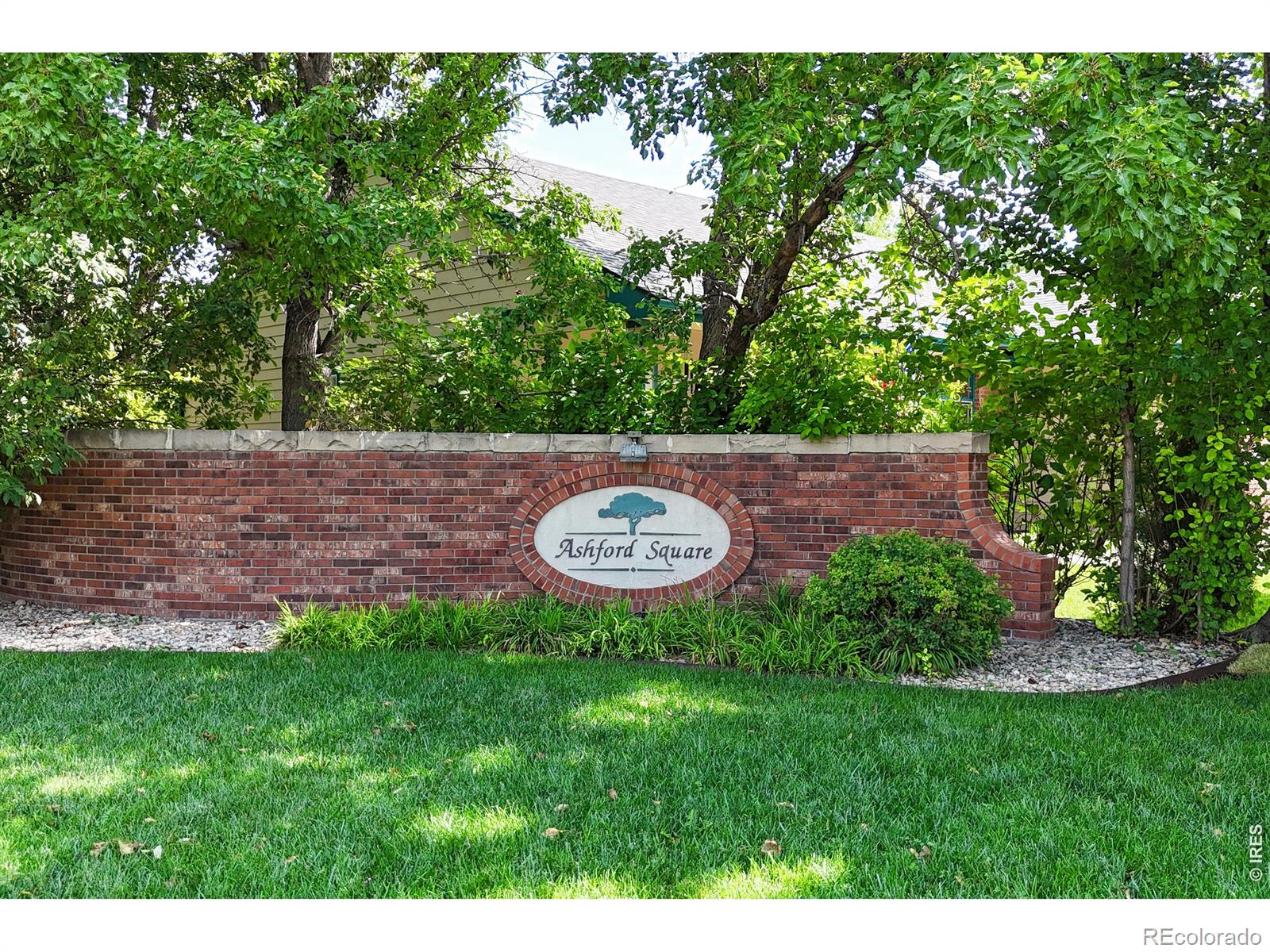 1231 Autumn Purple Dr, Loveland, CO 80538