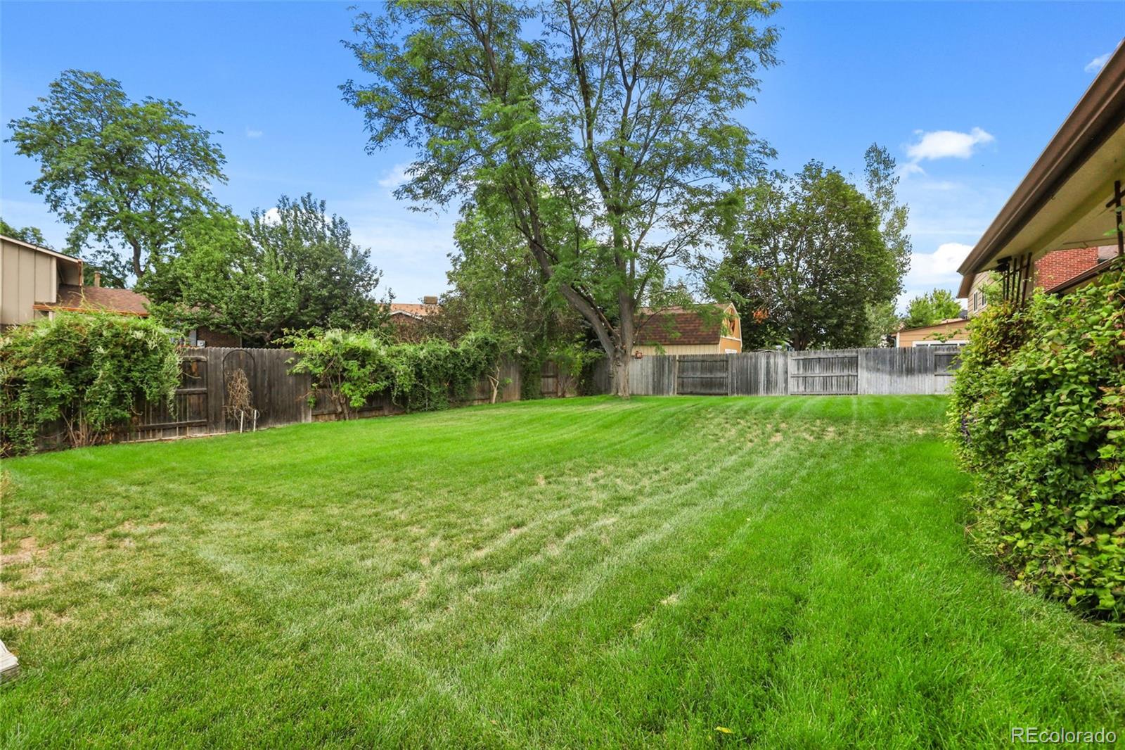 8118 S Marshall St, Littleton, CO 80128