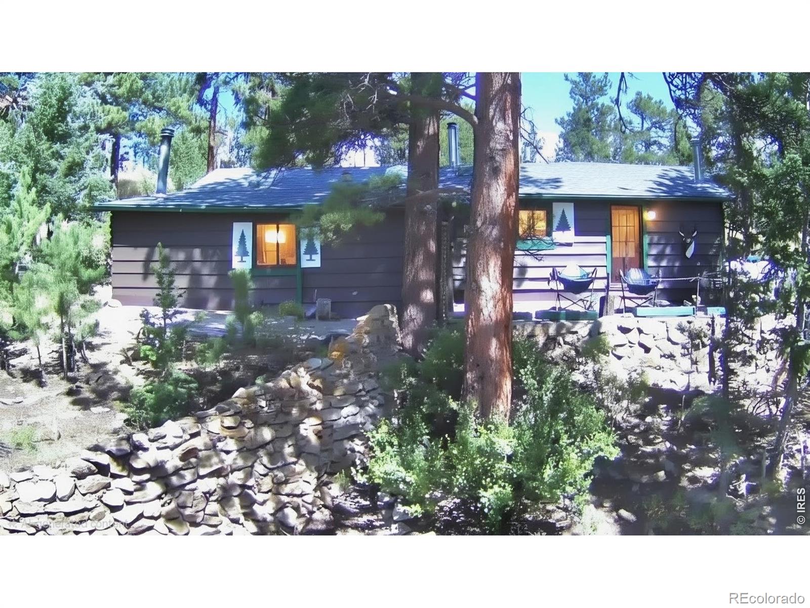 360 Ski Rd E, Allenspark, CO 80510