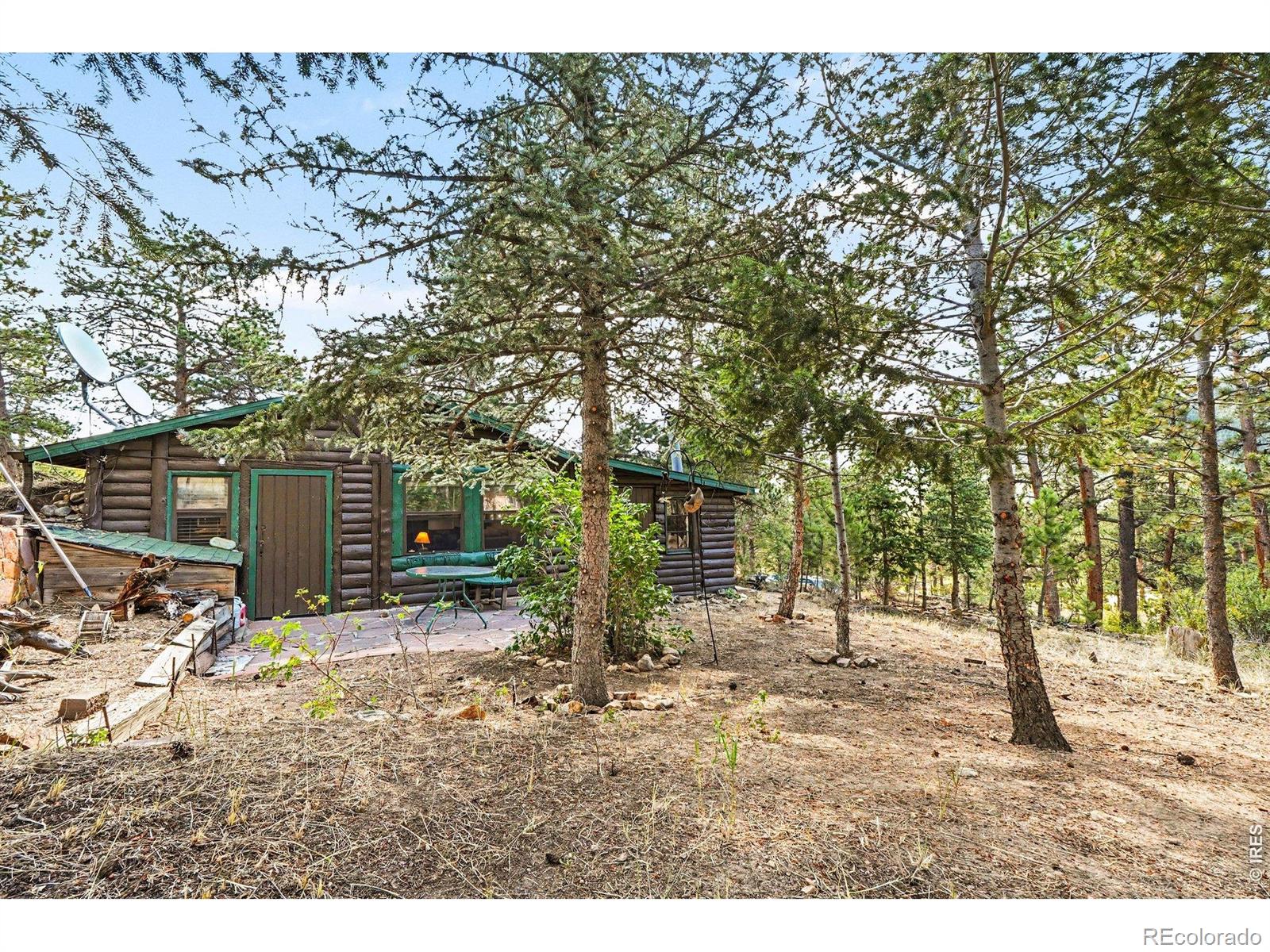 360 Ski Rd E, Allenspark, CO 80510