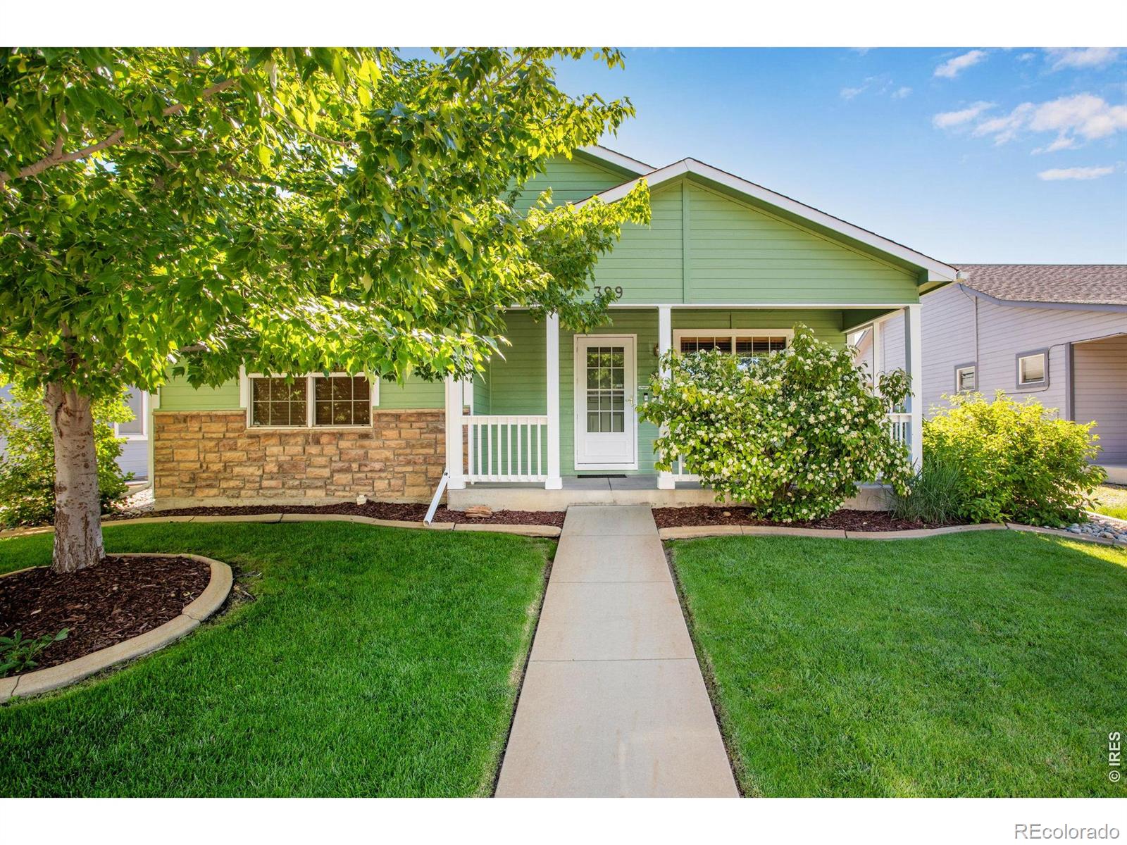 399 Lark Bunting Ave, Loveland, CO 80537